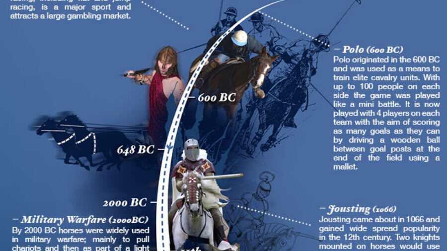 history-of-horses-animals-infographic